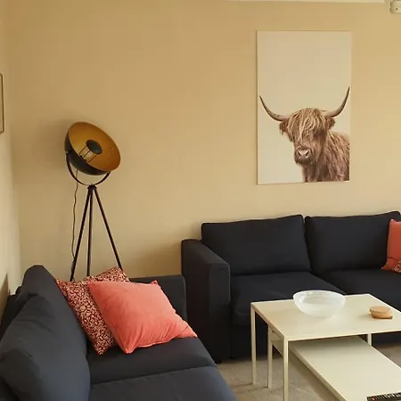 Wohnung, 2 Schlafzimmer Voll Ausgestattet In Uninaehe ホームステイ マインツ