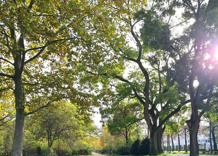 民宿 Monteurwohnung, Zentral, Voll Ausgestattet In Uninaehe 美因茨