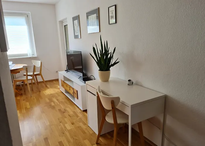 Monteurwohnung, Zentral, Voll Ausgestattet In Uninaehe マインツ